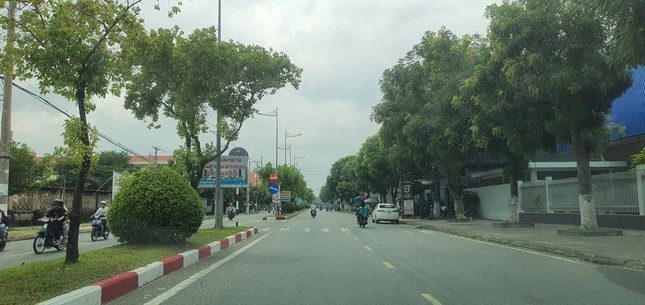 Bạc Liêu chỉ đạo rà soát các dự án cây xanh phục