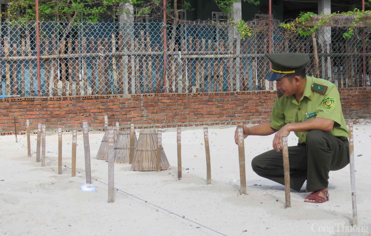 Chuyện những người giữ đảo ở Côn Đảo Chuyện những người giữ đảo ở Côn Đảo