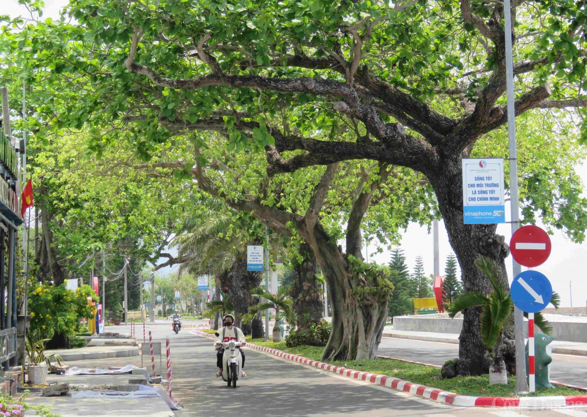 Chuyện những người giữ đảo ở Côn Đảo Chuyện những người giữ đảo ở Côn Đảo