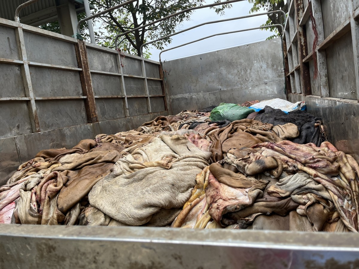 thực phẩm bẩn thực phẩm bẩn