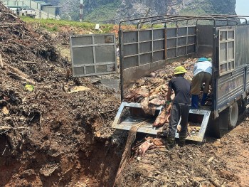 Rùng mình với 5 tấn thực phẩm bẩn vừa bị phát hiện ở Thanh Hóa