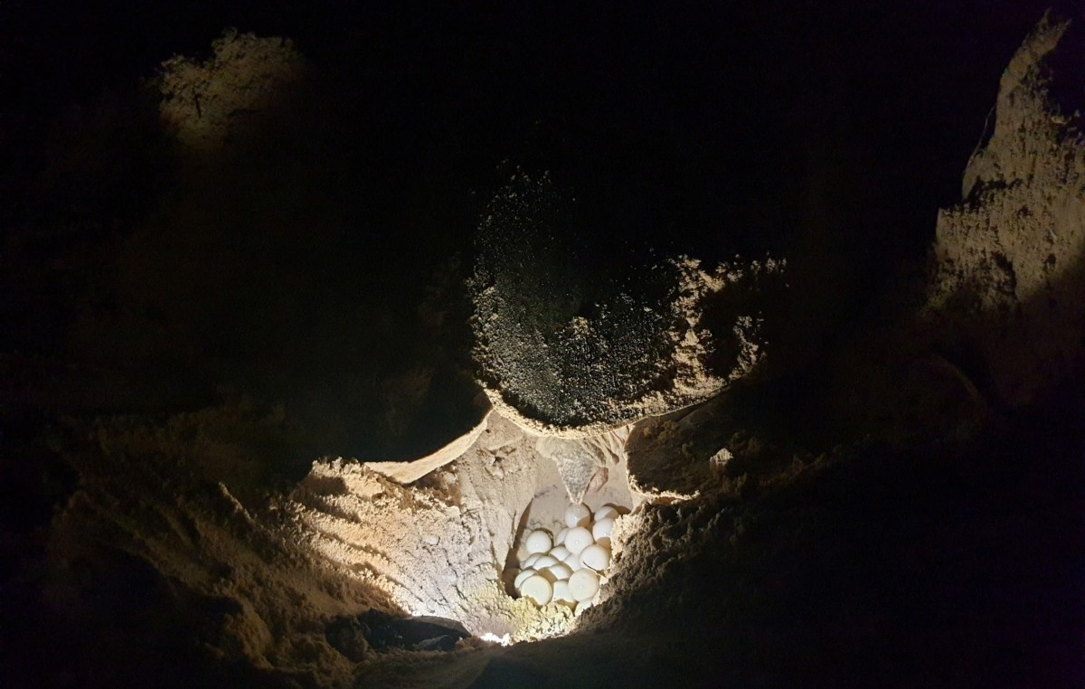 Chuyện những người giữ đảo ở Côn Đảo Chuyện những người giữ đảo ở Côn Đảo