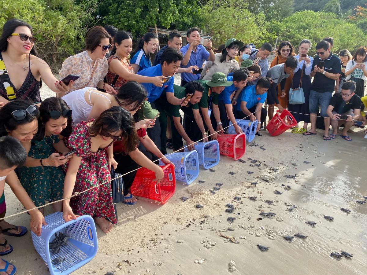 Chuyện những người giữ đảo ở Côn Đảo Chuyện những người giữ đảo ở Côn Đảo