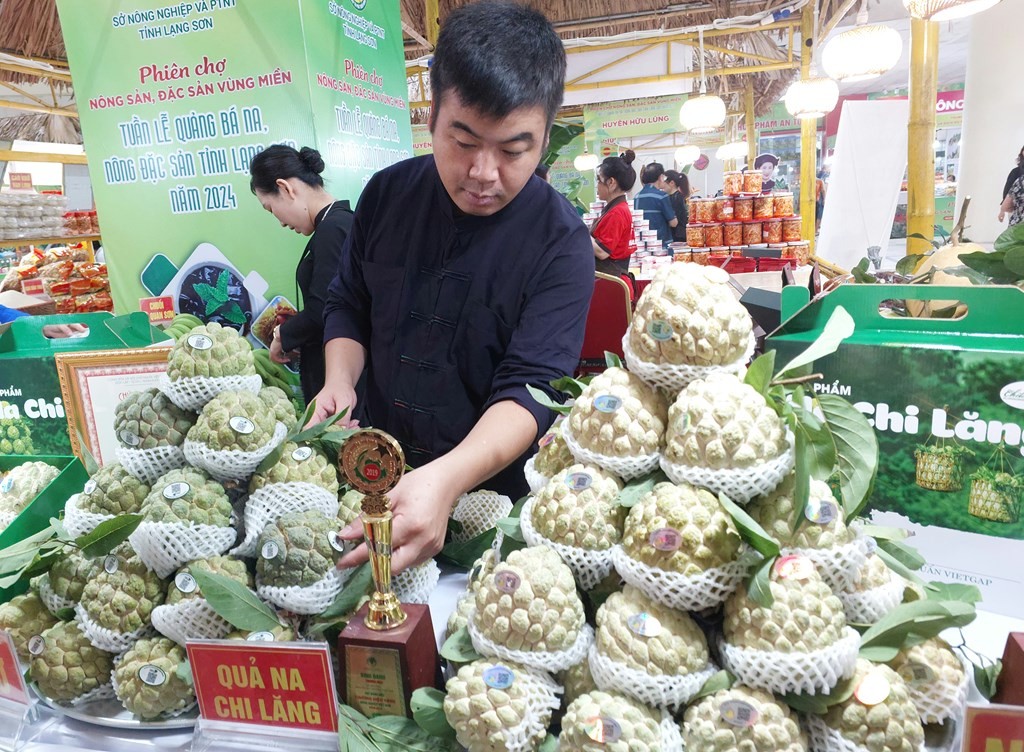 Na Chi Lăng (Lạng Sơn) tham gia phiên chợ tại Hà Nội. Ảnh: TTXVN Na Chi Lăng (Lạng Sơn) tham gia phiên chợ tại Hà Nội. Ảnh: TTXVN