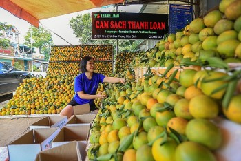 Hoà Bình: Thổ cẩm, cam rừng và những phiên chợ 'mở lối' xuống miền xuôi