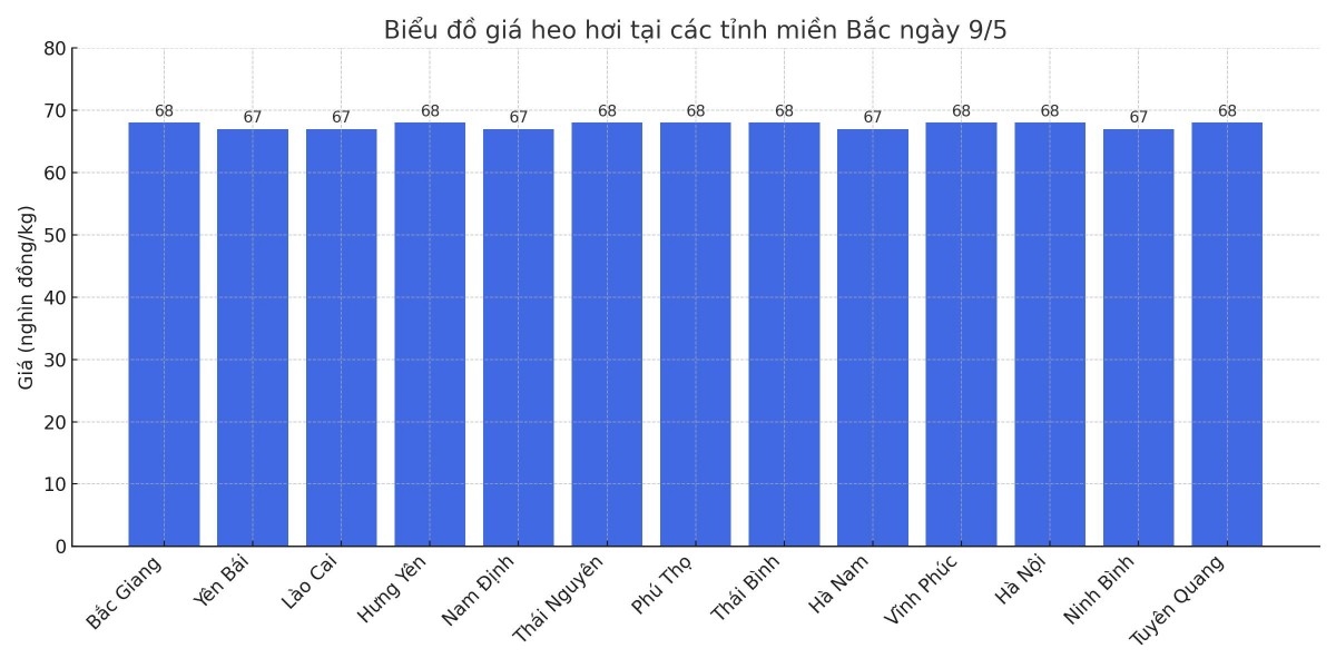 Biểu đồ giá heo hơi tại các tỉnh miền Bắc ngày 9/5. Biểu đồ giá heo hơi tại các tỉnh miền Bắc ngày 9/5.