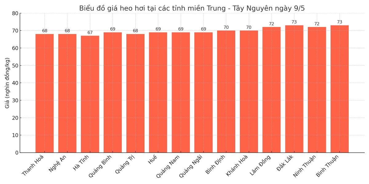 Biểu đồ giá heo hơi tại các tỉnh miền Trung - Tây Nguyên ngày 9/5. Biểu đồ giá heo hơi tại các tỉnh miền Trung - Tây Nguyên ngày 9/5.