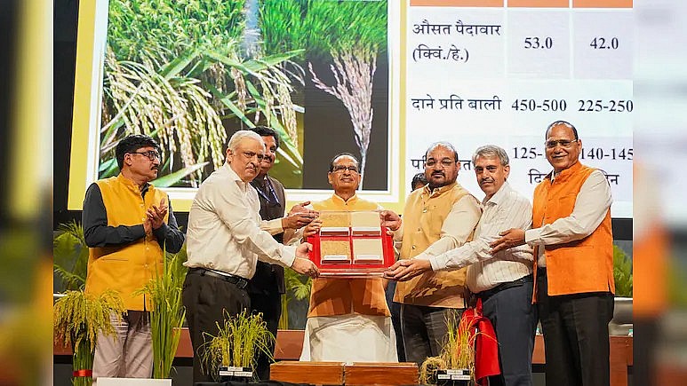 Những giống lúa chỉnh sửa gen đầu tiên công bố tại Ấn Độ được xem như giải pháp ứng phó thông minh với biến đổi khí hậu hiện nay – Nguồn ảnh: ndtv.com