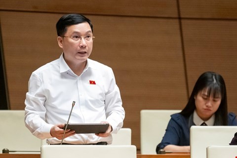 Đại biểu Lê Hoàng Anh - Đoàn ĐBQH tỉnh Gia Lai. Ảnh: VPQH