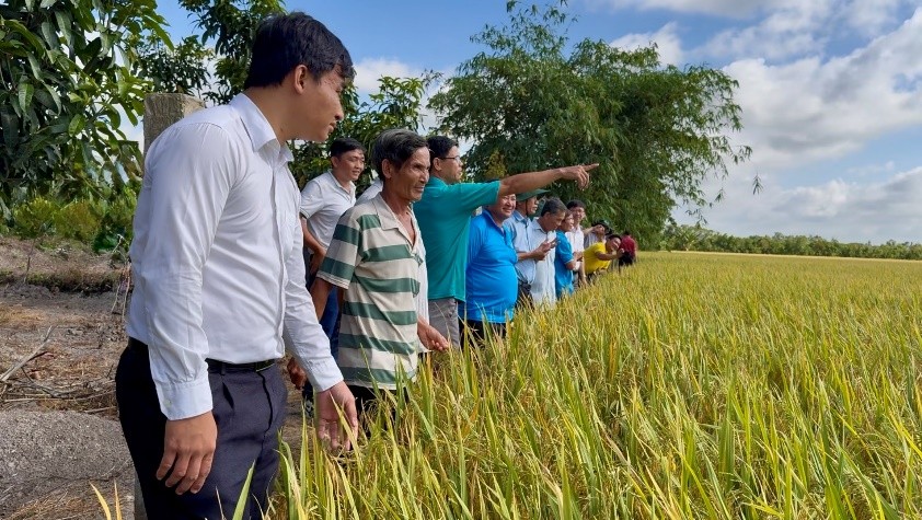 Tham quan mô hình trồng lúa chất lượng cao, giải phát thải theo quy trình Hợp Trí tại xã Mỹ Quí, huyện Tháp Mười, tỉnh Đồng Tháp 