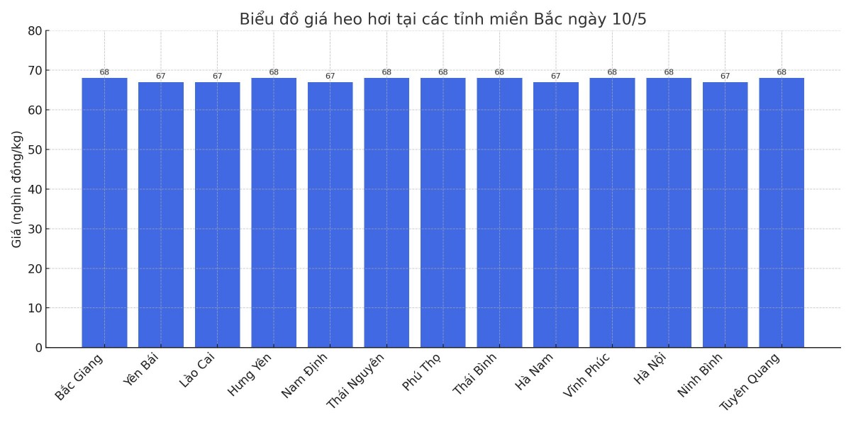 Biểu đồ giá heo hơi tại các tỉnh miền Bắc ngày 10/5. Biểu đồ giá heo hơi tại các tỉnh miền Bắc ngày 10/5.