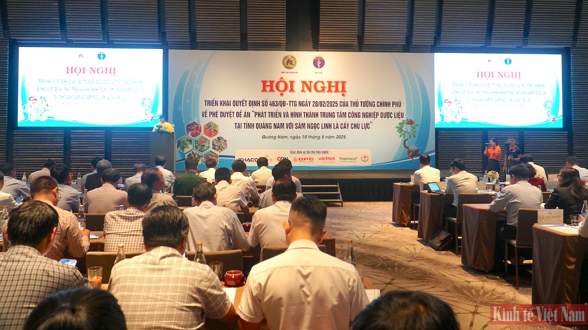 Tỉnh Quảng Nam triển khai Quyết định 463 của Thủ tướng Chính phủ về phát triển và hình thành trung tâm công nghiệp dược liệu tại tỉnh Quảng Nam với sâm Ngọc Linh là cây chủ lực