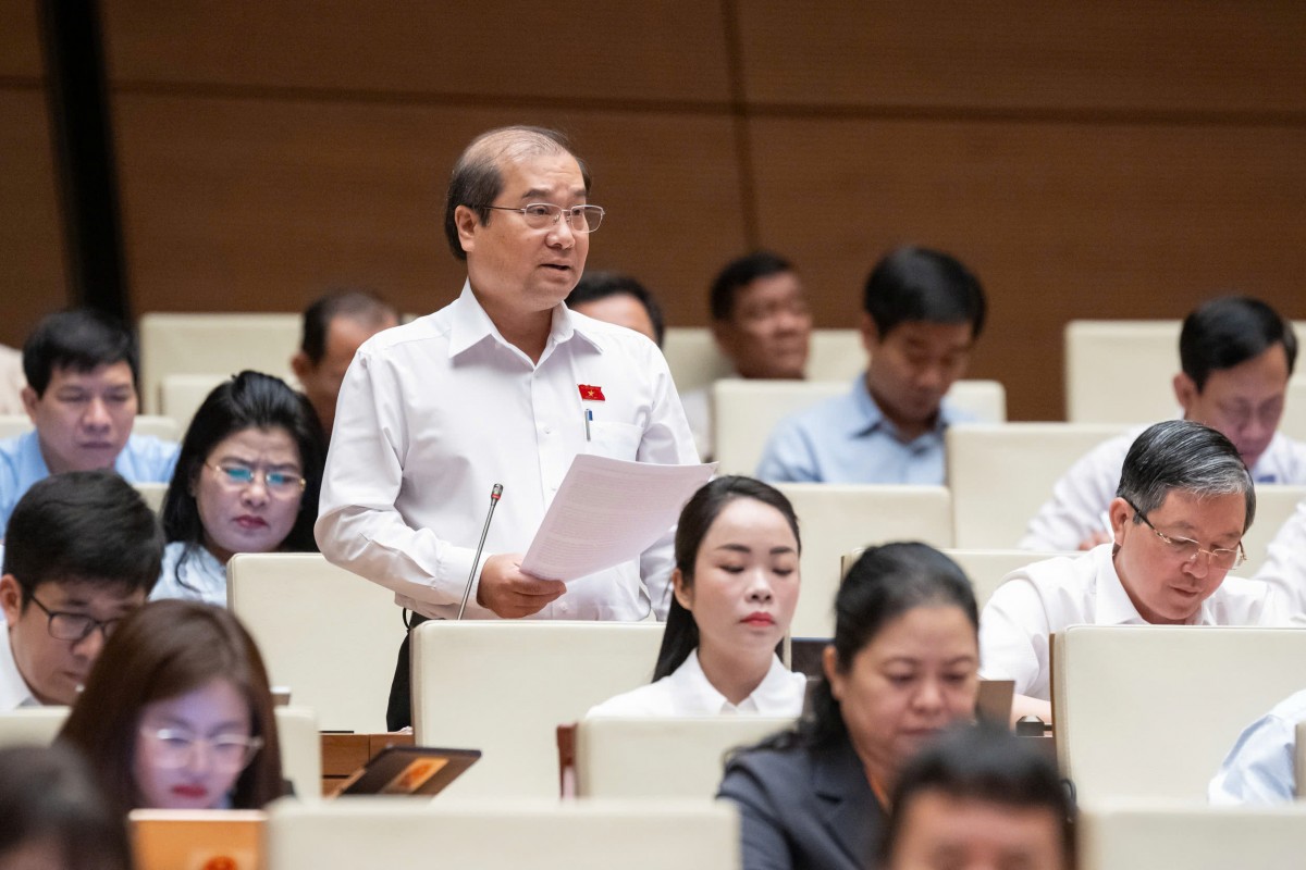 Đại biểu Quốc hội Trình Lam Sinh (Đoàn An Giang) Đại biểu Quốc hội Trình Lam Sinh (Đoàn An Giang)