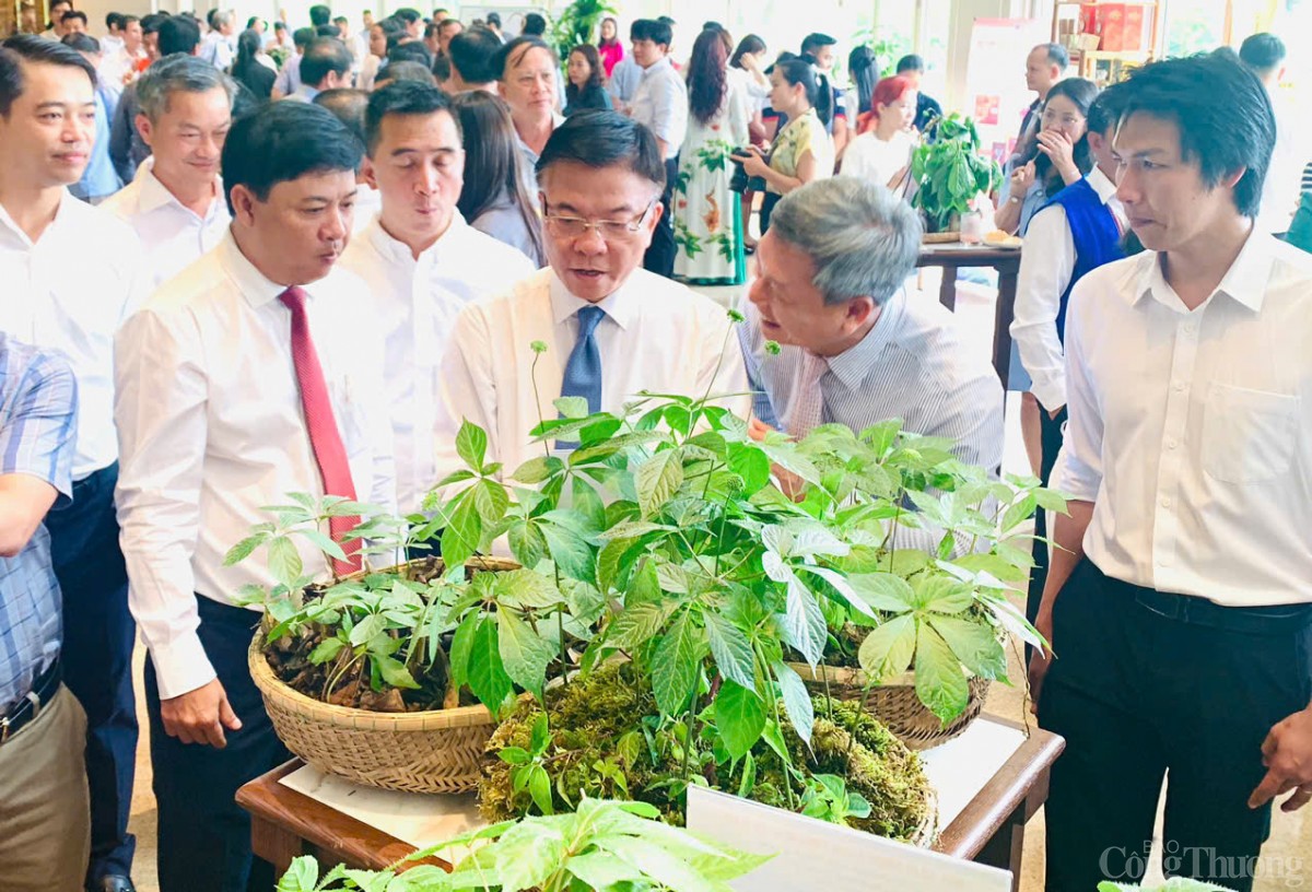 Phó Thủ tướng Lê Thành Long tham quan khu trưng bày giới thiệu sản phẩm sâm Ngọc Linh trong khuôn khổ Hội nghị Phó Thủ tướng Lê Thành Long tham quan khu trưng bày giới thiệu sản phẩm sâm Ngọc Linh trong khuôn khổ Hội nghị