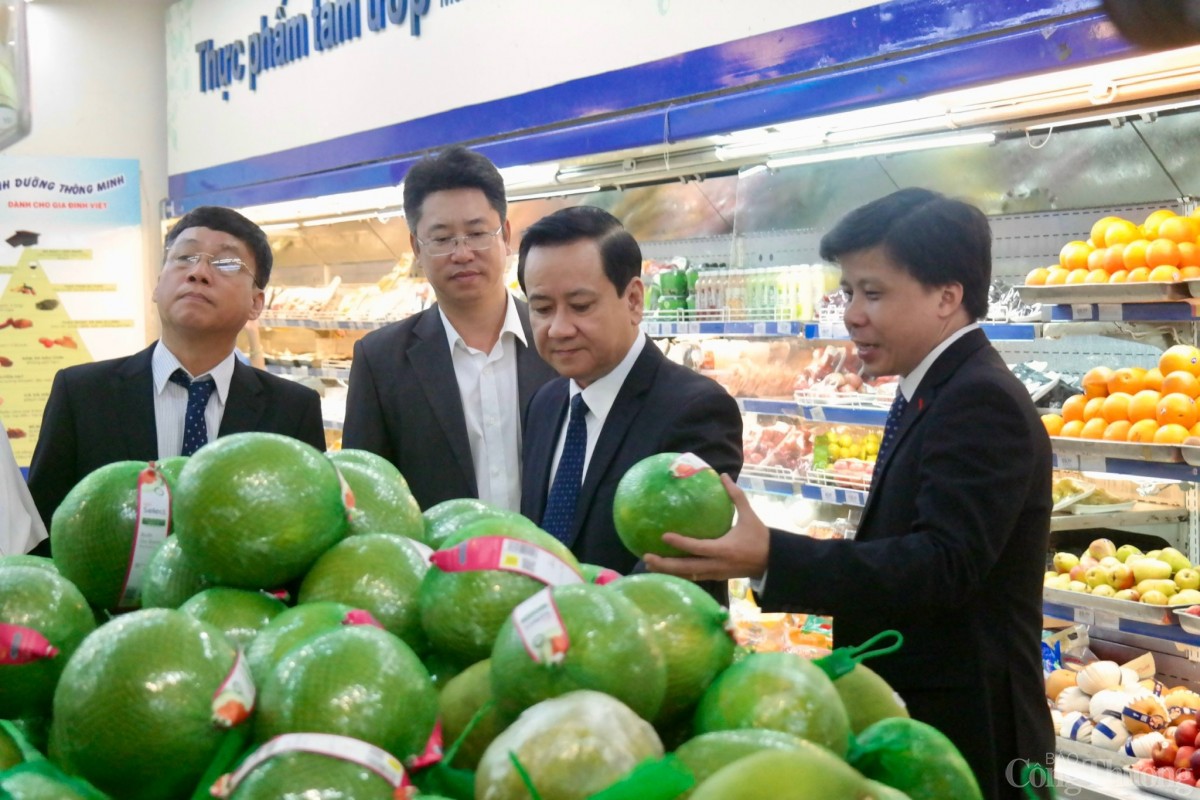 Hải Phòng: Trái cây gắn tem nhập khẩu bày bán tràn lan Hải Phòng: Trái cây gắn tem nhập khẩu bày bán tràn lan