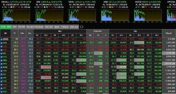 Hơn 194.023 tài khoản chứng khoán mới, cao nhất trong 8 tháng