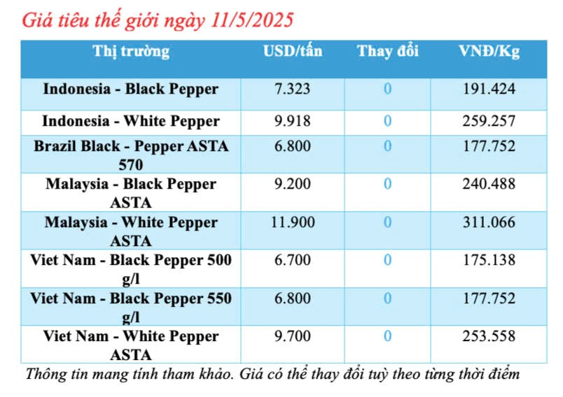 Dự báo giá tiêu trong nước ngày mai 12/5/2025, tăng nhẹ