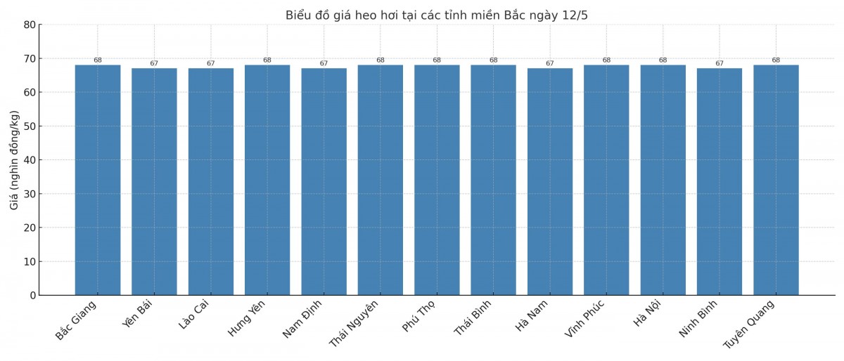 Biểu đồ giá heo hơi tại các tỉnh miền Bắc ngày 12/5. Biểu đồ giá heo hơi tại các tỉnh miền Bắc ngày 12/5.