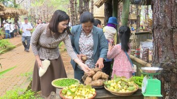 Mở lối cho hàng hóa vùng cao Kon Tum bắt nhịp thị trường