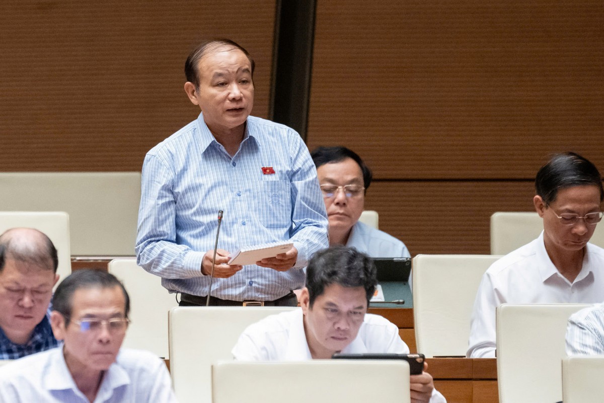 Đại biểu Lã Thanh Tân (Đoàn Hải Phòng)