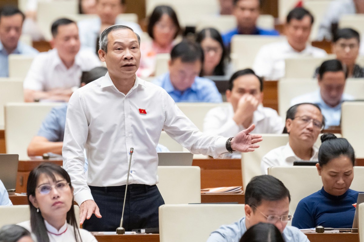 Đại biểu Phan Đức Hiếu (Đoàn Thái Bình) 