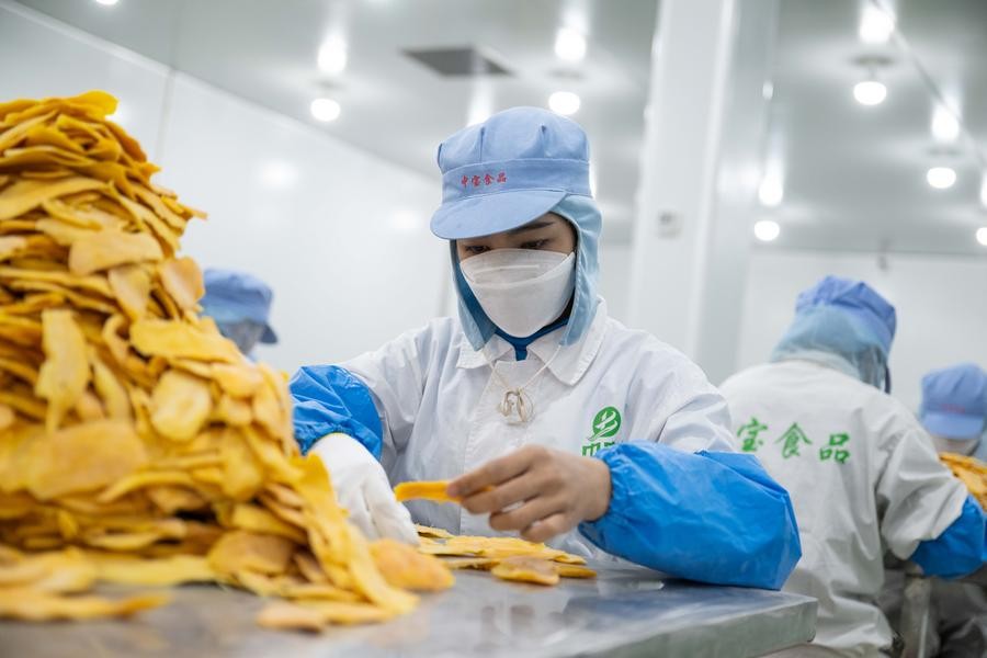 Công nhân tại nhà máy chế biến xoài ở huyện Phnom Sruoch, tỉnh Kampong Speu, Campuchia. Công nhân tại nhà máy chế biến xoài ở huyện Phnom Sruoch, tỉnh Kampong Speu, Campuchia.