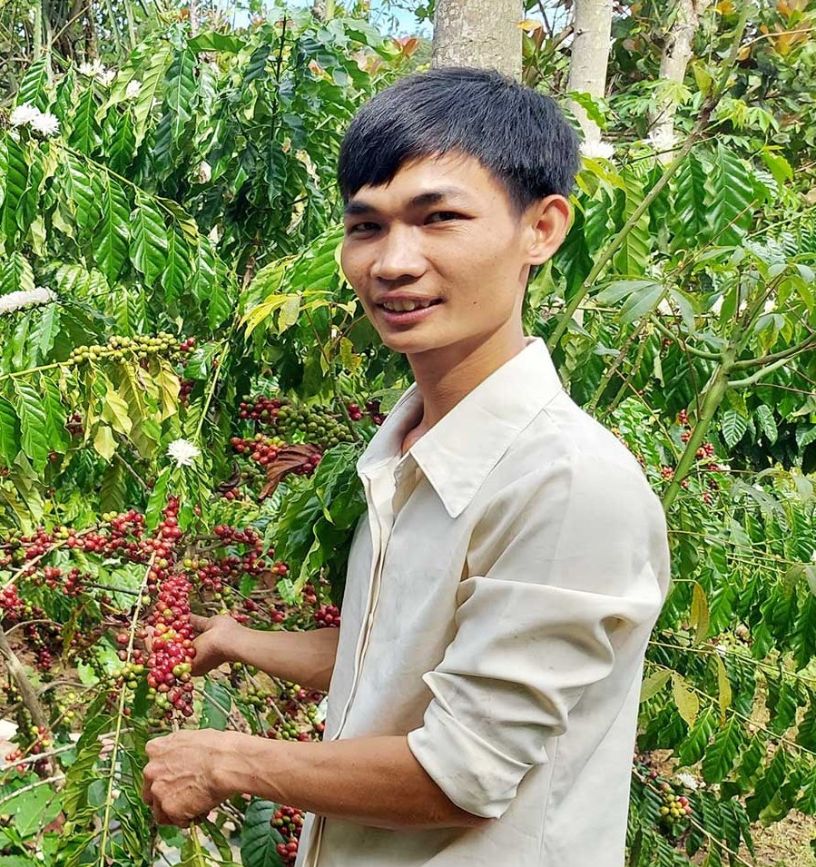 Cà phê Bù Đốp và câu chuyện thương hiệu