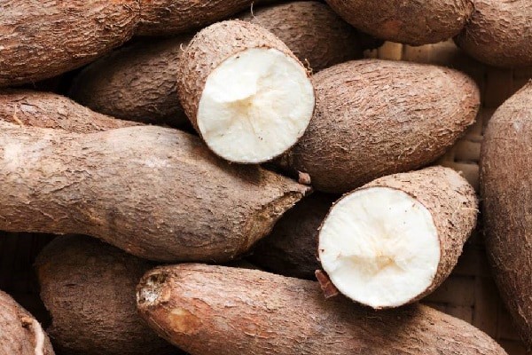 Trung Quốc là thị trường xuất khẩu sắn lớn nhất của Việt