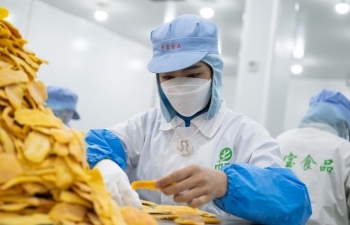 Việt Nam đạt Top 5 thị trường xuất khẩu của Campuchia