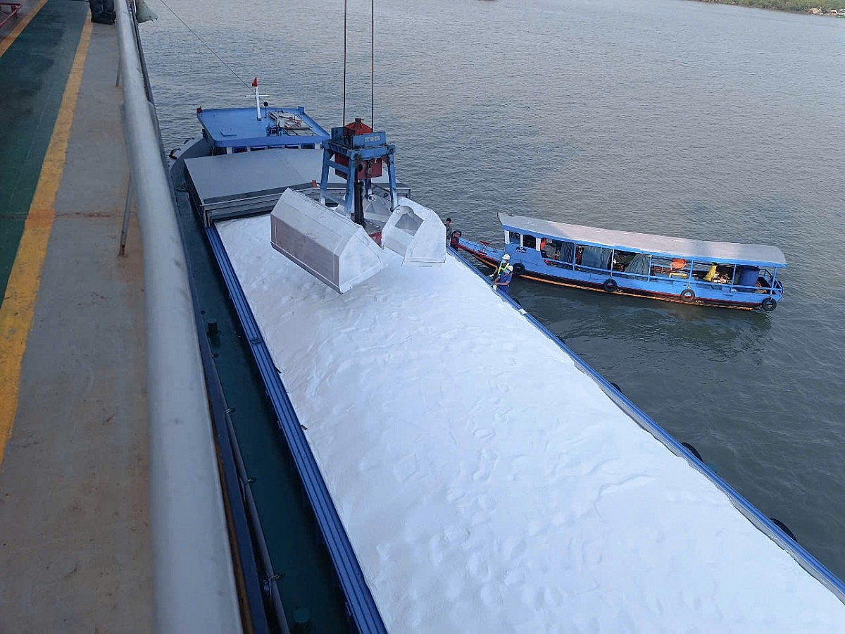 Phân bón Cà Mau vươn ra thế giới - Hành trình khẳng định thương hiệu Việt Phân bón Cà Mau vươn ra thế giới - Hành trình khẳng định thương hiệu Việt