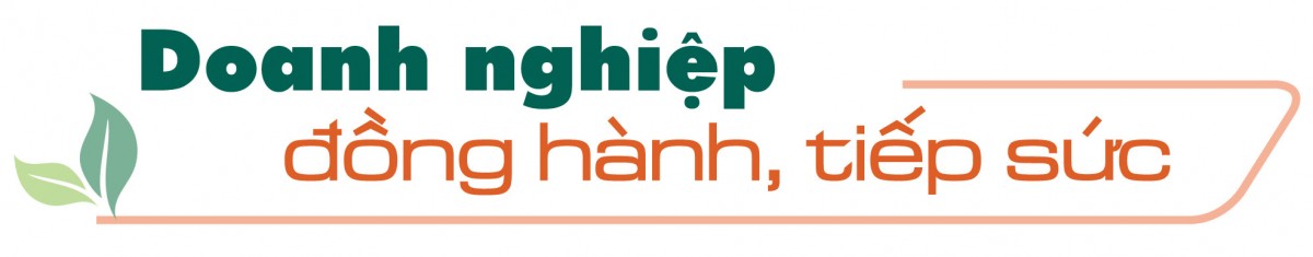 Longform | ‘Vàng xanh’ của rừng thành sinh kế bền vững cho đồng bào dân tộc Longform | ‘Vàng xanh’ của rừng thành sinh kế bền vững cho đồng bào dân tộc
