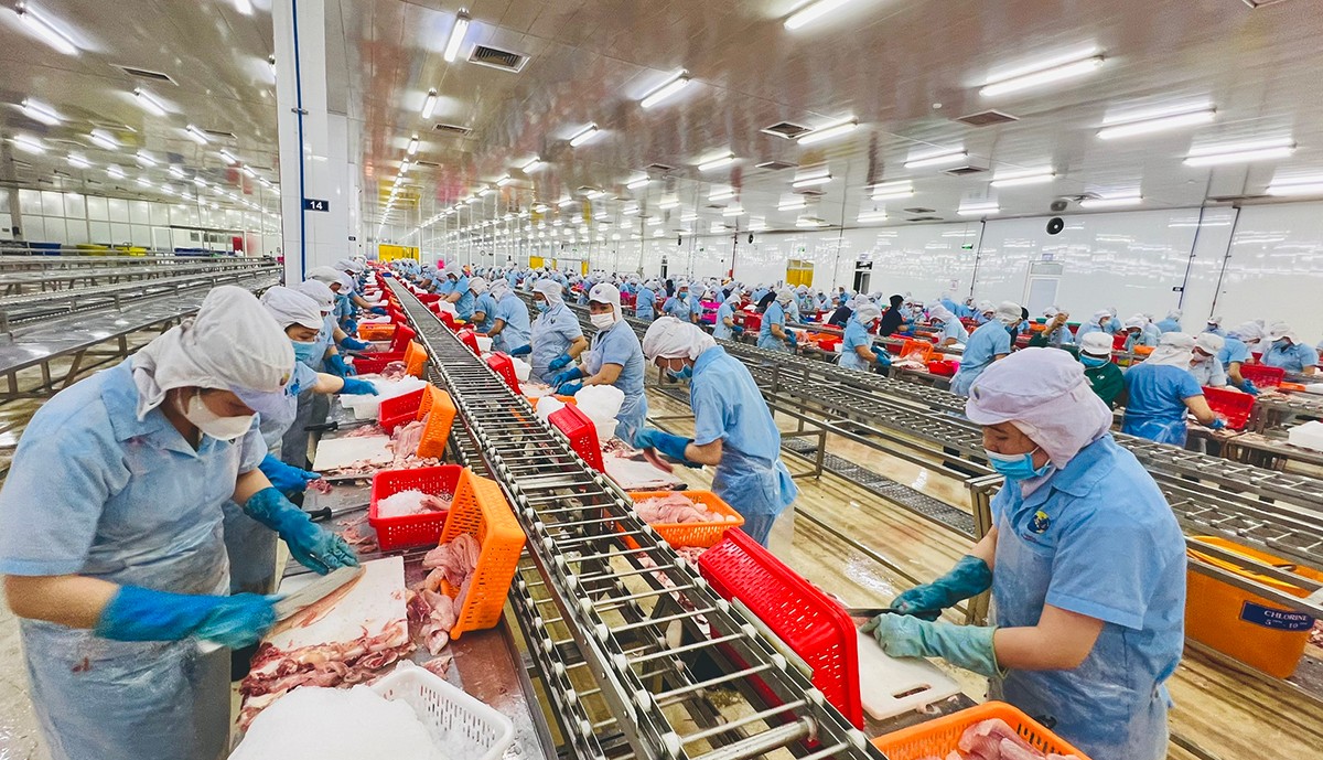 Giải mã chênh lệch chỉ số FTA Index giữa các tỉnh, thành Giải mã chênh lệch chỉ số FTA Index giữa các tỉnh, thành