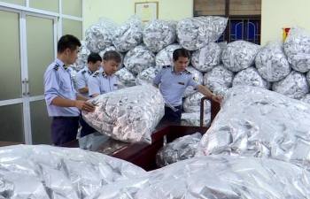Bắc Ninh: Tạm giữ  40.000  gói rong biển không rõ nguồn gốc xuất xứ