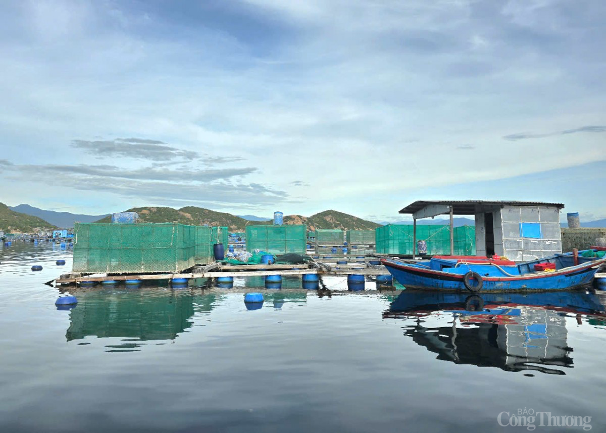 Sáp nhập Khánh Hòa, Ninh Thuận: Cơ hội bứt phá kinh tế