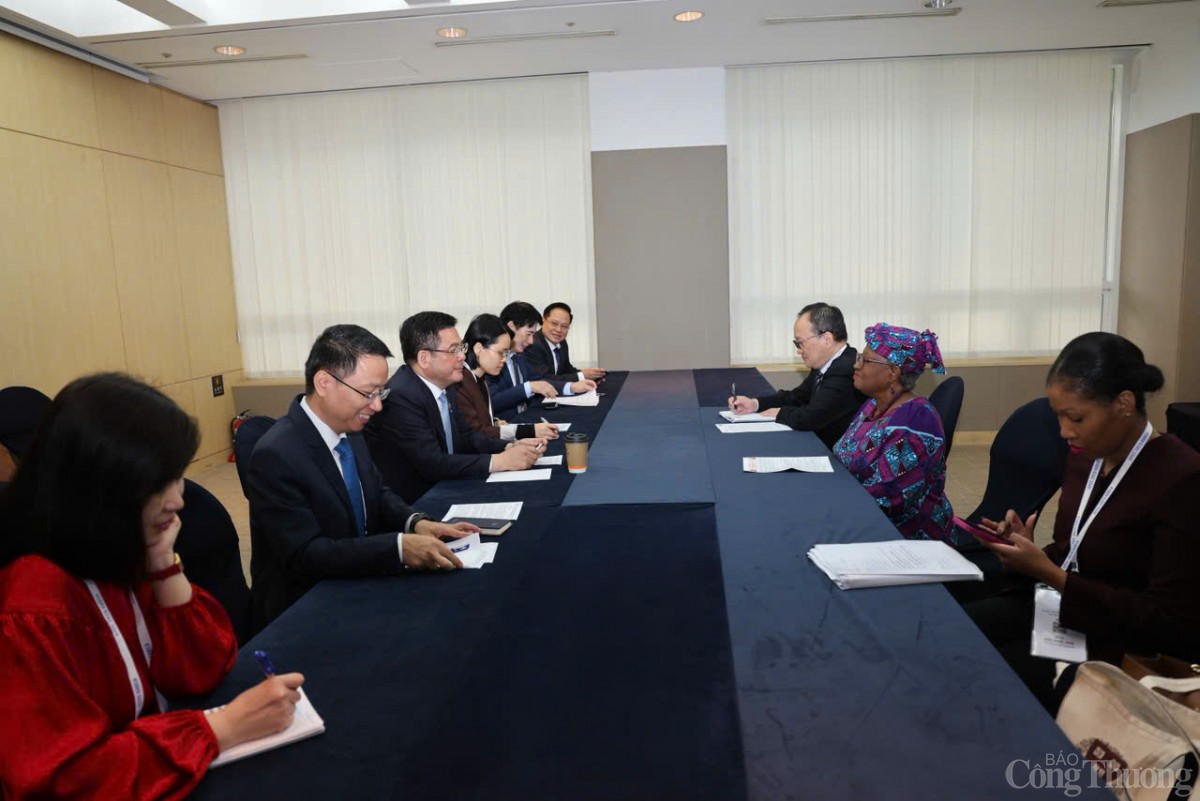 Chùm ảnh: Bộ trưởng Nguyễn Hồng Diên chia sẻ APEC 2025