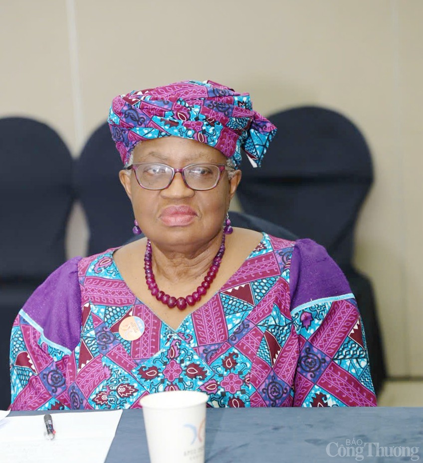 Chùm ảnh: Bộ trưởng Nguyễn Hồng Diên chia sẻ APEC 2025