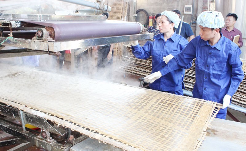 Tráng bánh làm miến dong bằng máy tại cơ sở của bà Dương Thị Liên, xã Tân Hòa. Ảnh: Quang Thiện Tráng bánh làm miến dong bằng máy tại cơ sở của bà Dương Thị Liên, xã Tân Hòa. Ảnh: Quang Thiện