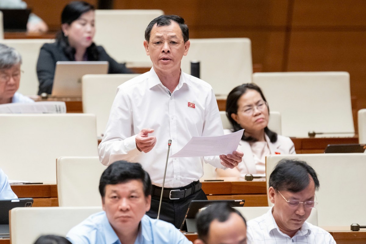 Đại biểu Nguyễn Tri Thức (Đoàn Thành phố Hồ Chí Minh) 