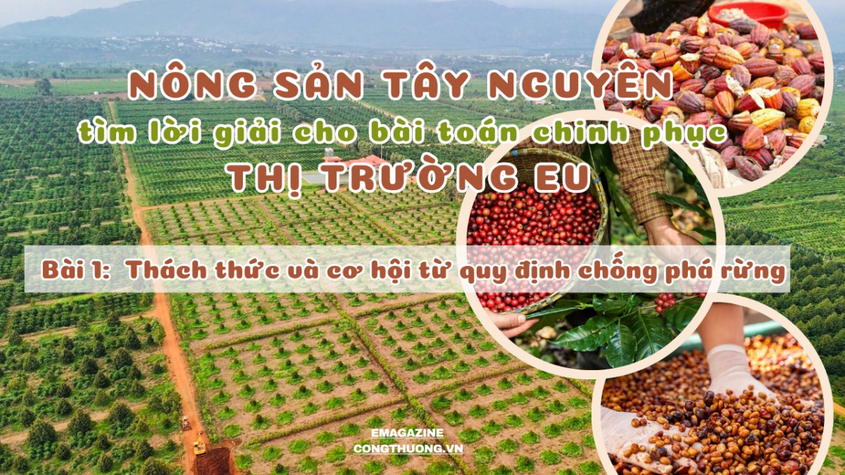 Bài 1: Thách thức EU siết chặt quy định chống phá rừng Bài 1: Thách thức EU siết chặt quy định chống phá rừng