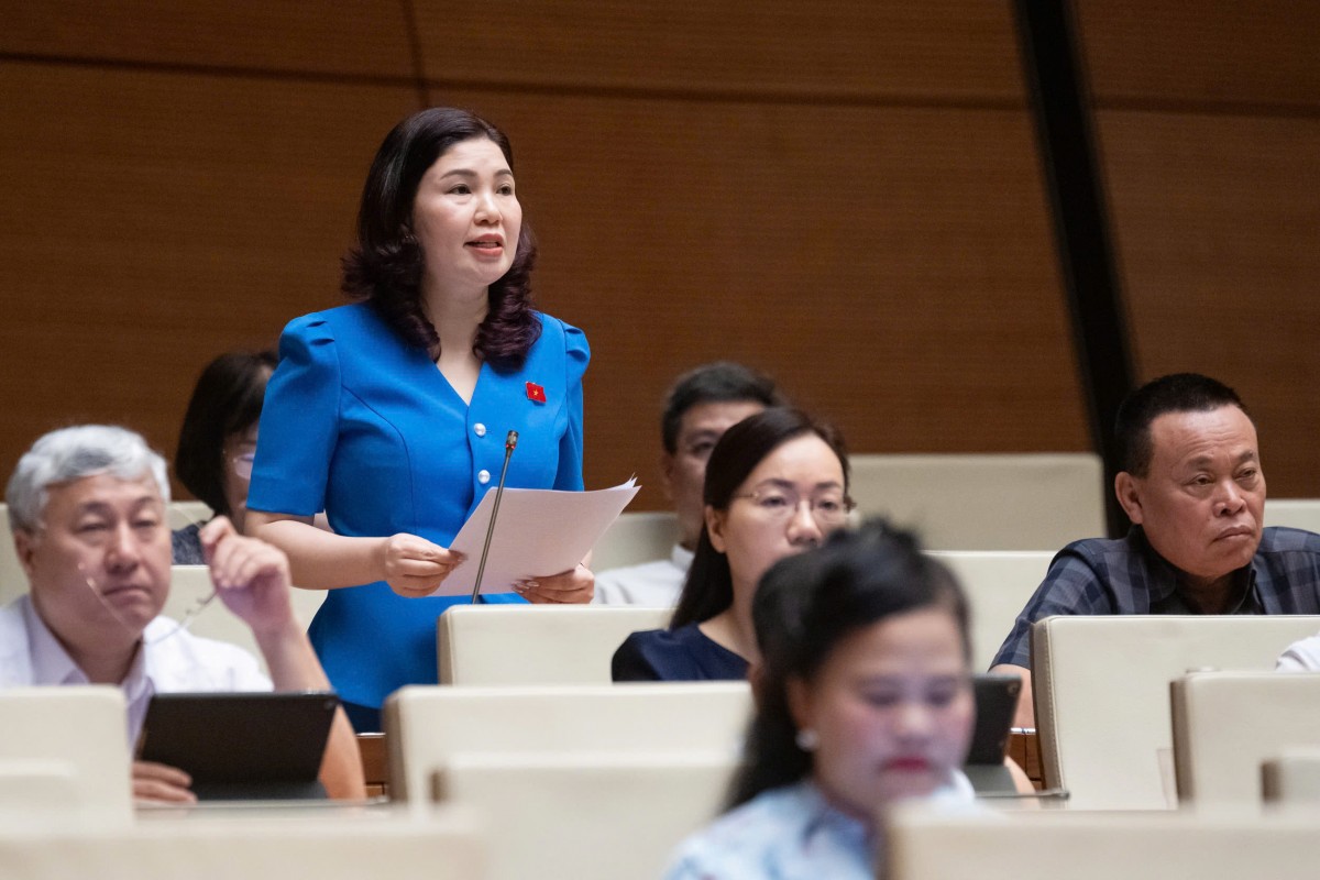 Đại biểu Trần Thị Vân (Bắc Ninh) 