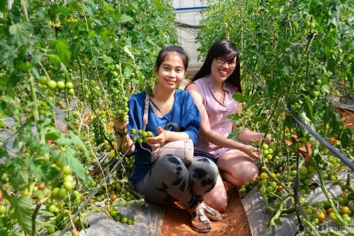 Sáp nhập Lâm Đồng, Đắk Nông, Bình Thuận Sáp nhập Lâm Đồng, Đắk Nông, Bình Thuận