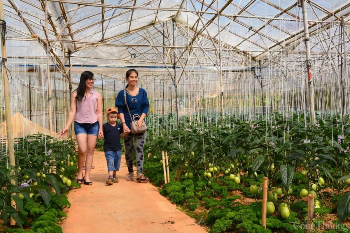 Sáp nhập Lâm Đồng, Đắk Nông, Bình Thuận Sáp nhập Lâm Đồng, Đắk Nông, Bình Thuận