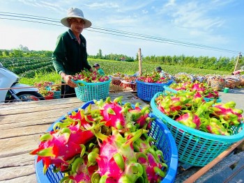 Tin Công Thương 16/5: Gỡ điểm nghẽn xuất khẩu nông sản