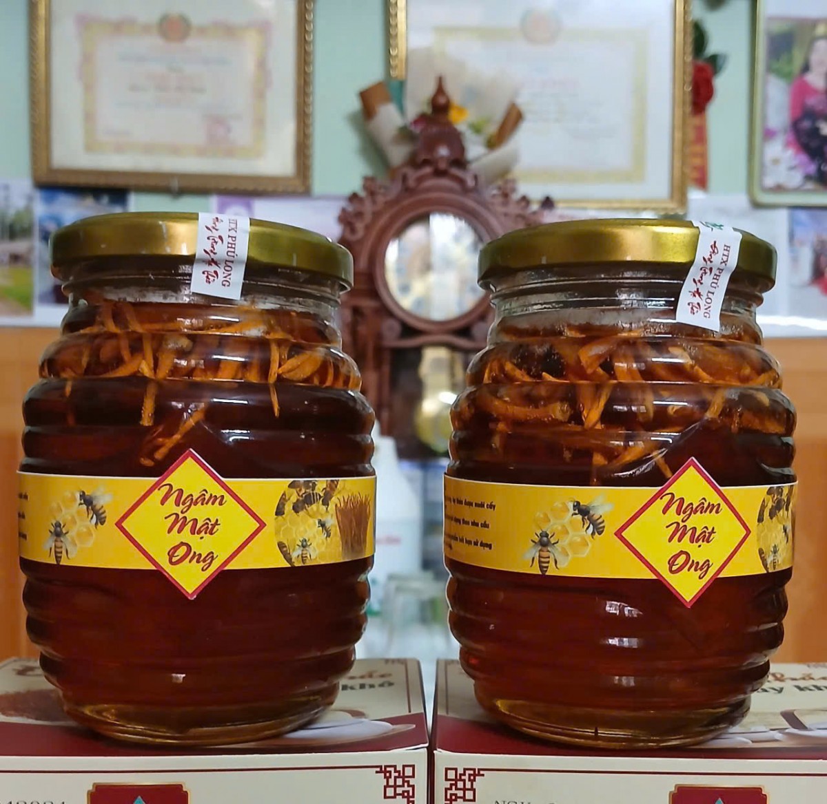 Đi tìm đầu ra cho đông trùng hạ thảo Thái Bình