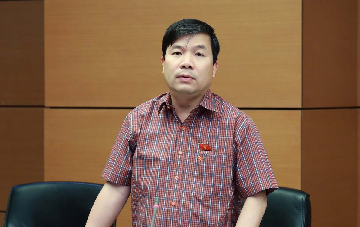 Đại biểu Hoàng Đức Chính (Đoàn Hòa Bình) Đại biểu Hoàng Đức Chính (Đoàn Hòa Bình)