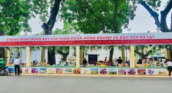 Ngày Văn hóa Lâm Đồng 2025: Cơ hội quảng bá nông sản