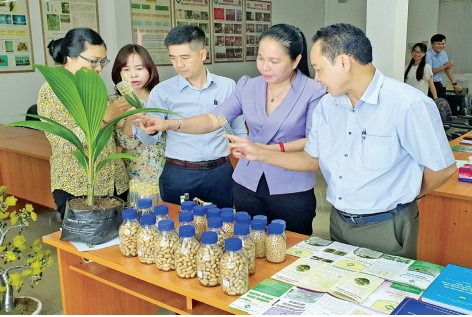 Lĩnh vực công nghiệp nhẹ: Những thành quả nổi bật trong nghiên Lĩnh vực công nghiệp nhẹ: Những thành quả nổi bật trong nghiên