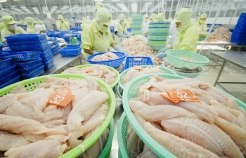 Mở rộng thị phần ngành thủy sản: Điểm sáng từ các thị trường ngách