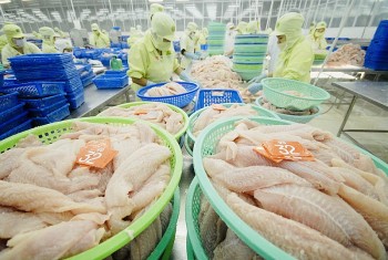 Xuất khẩu thủy sản của Việt Nam sang Trung Quốc bứt phá