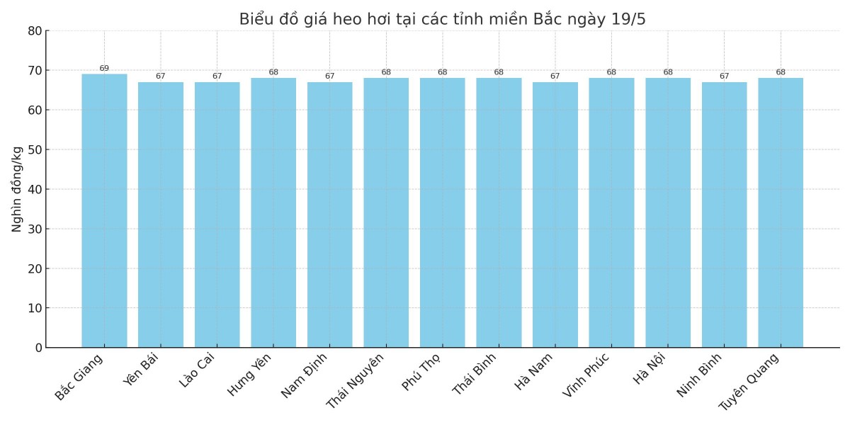 Biểu đồ giá heo hơi tại các tỉnh miền Bắc ngày 19/5.